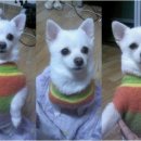 낙성대역 5번출구 이미지