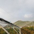 김해농장 이미지