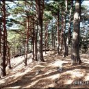 옛길가든 이미지