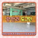 도그민 | 부산 애견카페 추천 광안리 카페 도그민 9살 아이와 방문 후기(feat.주차, 강아지 없이 입장 가능)