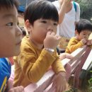 열우물로 이미지