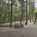 05/27일~28일(수/목) 화천 만산동계곡 캠핑[마에스트로 대장님] 이미지