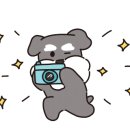 퍼피스프링 강서점 이미지