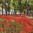 활천공원 이미지