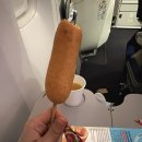 P-5J03 | 나의 14박 15일 겨울 뉴욕여행기 EP03. 인천-뉴욕 KE081 대한항공 탑승기