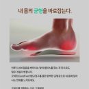 굿피트코리아 이미지