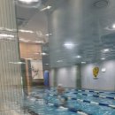 라이언 스위밍 센터 용당점 이미지