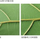 동영인쇄