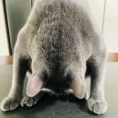 스마트해법수학남원주점 학원 이미지