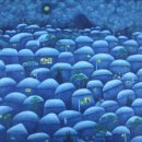 둔산중로-5 이미지