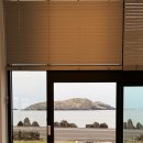 원빈(1bean) 이미지