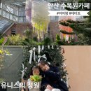 꽃과 식물로 정원가꾸기 | 안산 아이랑 카페ㅣ겨울 나들이 딱 좋은 실내정원 '유니스의정원' 베이커리 @포토스팟