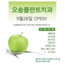 오송플란트치과의원 네이버블로그