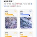 (주)시너지위드 네이버블로그