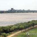 낙동강관리본부 대저생태공원 4 이미지