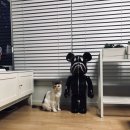 광명공판장 이미지