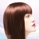 헤어 공유