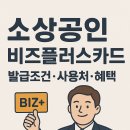 현대오일뱅크플러스 | 소상공인 비즈플러스카드 발급조건·사용처·혜택 총정리 (2025 최신판)