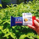 굿모닝건강요가 이미지