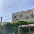 팬텀플러스주