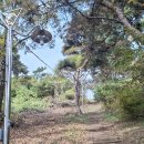 서광사 등산로 이미지