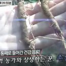 법인마타리 이미지