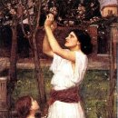 워터하우스 이미지