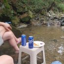 숲속다람쥐펜션 이미지