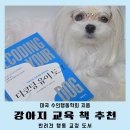 파우더-Dog | 강아지책 행동교정 도서 추천 개의언어배우기 디코딩유어도그