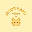 왔다슈퍼 | DMC 슈퍼핀 숏핀 사용 후기