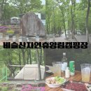 비슬산휴양림캠핑장 | 대구 근교 캠핑 비슬산자연휴양림 캠핑장 21번 데크 첫 캠핑 도전 후기
