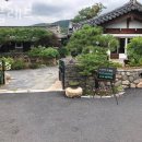 알천북로(남) 이미지