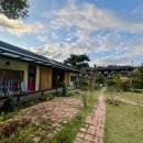 파베뉴(Pavenue) 이미지