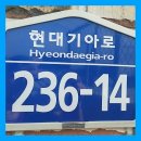세광오토