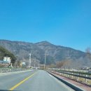 단양경찰서 영춘파출소 | 단양 영춘면_봄이 오면 가야할 곳