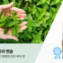 케이맘바 이미지