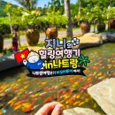 초원이발관 - 신안군 압해로 881 | 베트남 나트랑 여행코스 3박5일 일정 가족여행 추천 단독투어 자유여행 패키지 후기