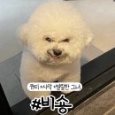 나농네일 | 유얼 💐🩷