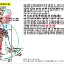 반야심경 17-보신불이 빛몸_아뇩다라삼먁삼보리(阿耨多羅三漠三菩提) 의미_10반야바라밀다과정을 통해 중생이 보살52계위 묘각(妙覺) 성취 이미지