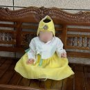 UR(광주광역시)-[왕버들로]-하-1 | 광주 소규모 돌잔치 찐후기! 르미엘 내돈내산 장단점 리뷰