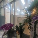 권홍철세무회계사무소 이미지