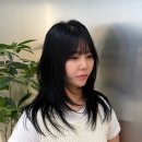 엠트헤어 부평본점 | 인천 부평역 미용실 [엠트헤어 부평본점] 레이어드컷맛집 중단발 후기
