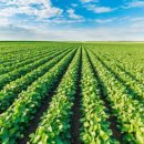 유니농장 이미지