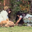 재영민박 이미지