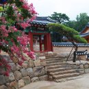 팔공산온천관광호텔 티스토리
