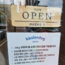 킨더독 이미지