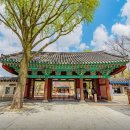 완산-44 | 전주 여행 | 4편 전주 경기전 필수 코스 | 야간, 산책로, 전주사고