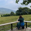 제다원초가집 이미지