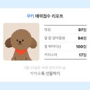 머꼬또머꼬 이미지