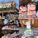 마네키 | [공지] [도쿄여행] 도쿄 고토쿠지 마네키네코 절 후기 | 고양이 덕후 필수 코스 완벽 정리